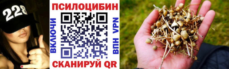 Галлюциногенные грибы Cubensis  Муром 